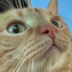 Дмитрий Гусев, 12.07