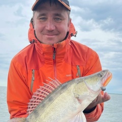 Рафаил Гарифуллин, 01.03.1987, Москва