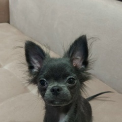 Николай Осипов, 14.05, Санкт-Петербург