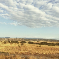 Mariana Mahera, 14.04, Madrid