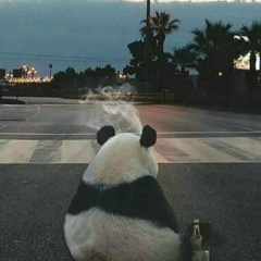 Шамиль Хамцуев, 05.03, Омск