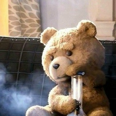 Y-U R-A, 17.02, Моздок