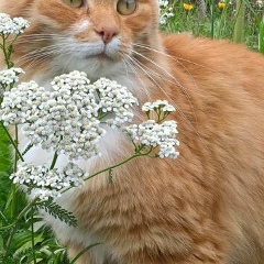 Галина Частикова, 07.08, Санкт-Петербург