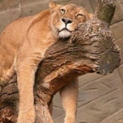 Анна Петровна, 25.09.1979, Санкт-Петербург