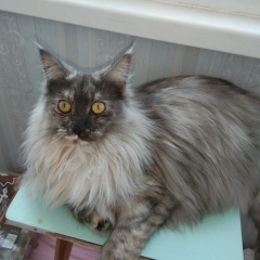 Наталья Хлебосолова, 08.06, Санкт-Петербург