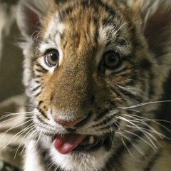 Зина Макаева, 25.07