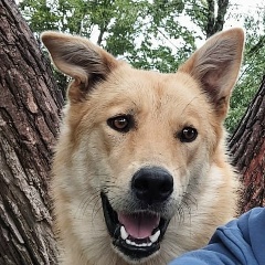 Серёга Богданов, 04.01.1987, Ajman