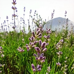 Марина Порох, 30.08.1984, Чехов