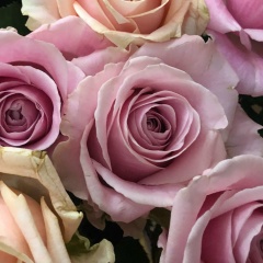 Vikulya Kim, 15.09, Санкт-Петербург