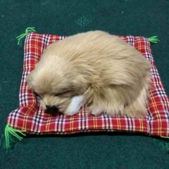 Kool Kool, 21.03, Fukuoka