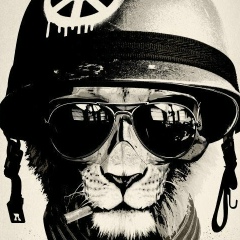 Николай Москалюк, 06.08.1985, Новосибирск