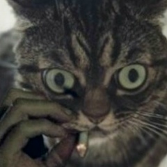 Кирилл Иванов, 05.05