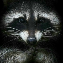 Виталий Мусинский, 02.03, Орша