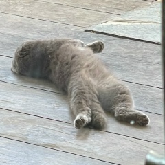 Магжан Байжомартов