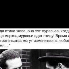 Базик Базик, 01.12.1991