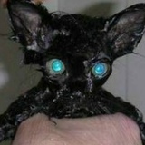 Сергей Бабкин, 03.08.1981, Санкт-Петербург