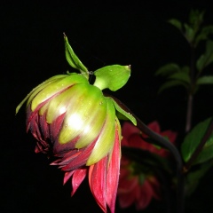 Катюшка Симшова, 05.04, Москва