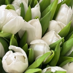 Любовь Васильева, Переславль-Залесский