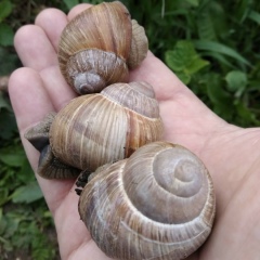 Александр Карханин, 09.02.1983, Апрелевка