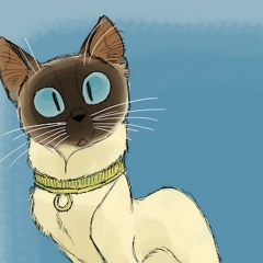 Евгения Антонцева, 19.01, Санкт-Петербург