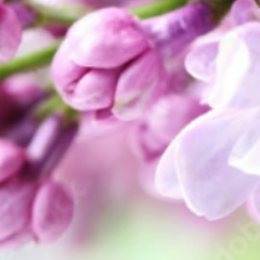 Екатерина Выборнова, 07.12, Москва