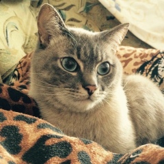 Александра Ерхова, 22.09