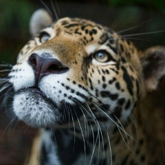 Aida Nurzhanova, 10.02, Алматы