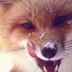 Алёна Бойко, 10.04.1990, Запорожье