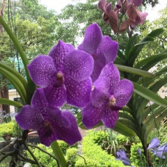 Mg Ye-Chan, 25.11.1982