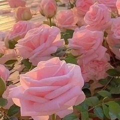 Светлана Мастепан, 03.12, Санкт-Петербург