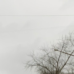 Роза Жами, 24.12, Караганда