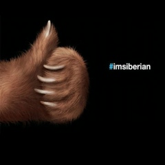 Олег Перадзе, 18.11, Кемерово