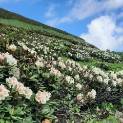Ольга Рязанцева, Челябинск