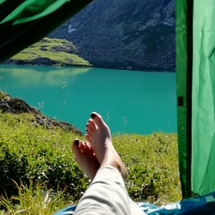 Елена Новичкова, Санкт-Петербург