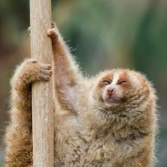 Андрей Насонов, 14.02.1975, Санкт-Петербург