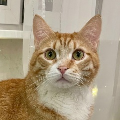 Нинель Айрапова, 31.08, Москва