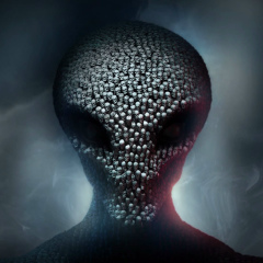 Илья Данилов, Санкт-Петербург