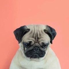 Леня Черепков, 17.03.1988, Москва