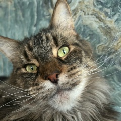 Ира Кустова, 26.11.1987, Кострома