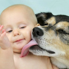 Ксения Войцеховская, 28.06