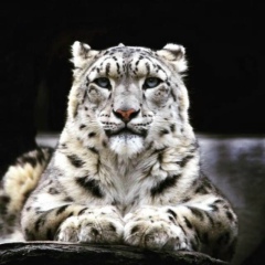 Nursultan Kozhataev, 08.06, Астана