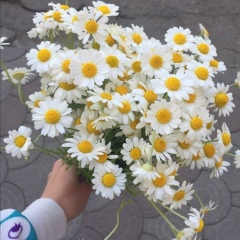 Куттыкыз Налибаева, 13.07.1989, Алматы