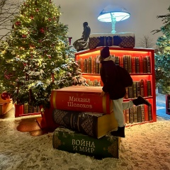 Елена Жукова, Санкт-Петербург