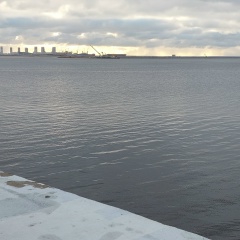 Back Fog, 15.09.1990