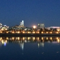 Ксения Воробьева