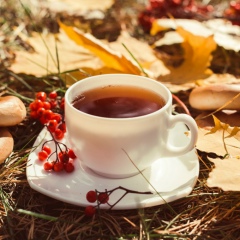 Марина Морева, 26.10.1980, Тюмень