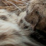 Дмитрий Волков, 31.12