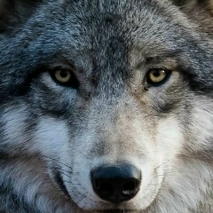 Максим Алексашин, 18.04.1990, Москва