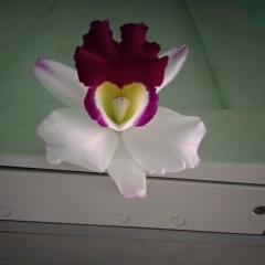 Khaing Zar, 01.01.1970