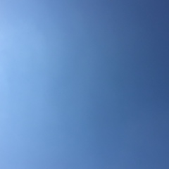 Элина Юнусова, 07.08.1979, Грозный